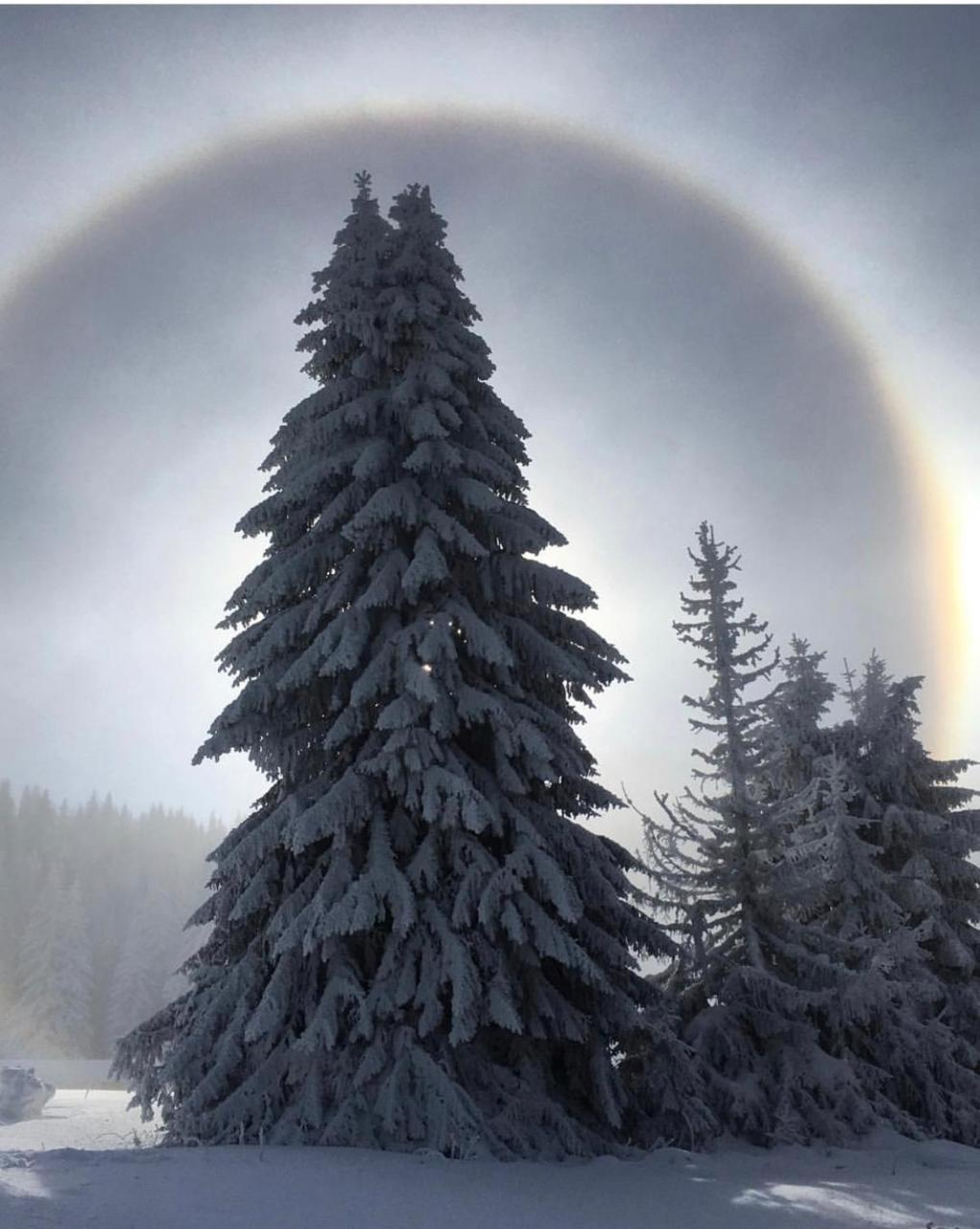Silver Mountain Milmari Kopaonik Zewnętrze zdjęcie